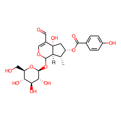7-O-(p-Hydroxy)benzoyltecomoside