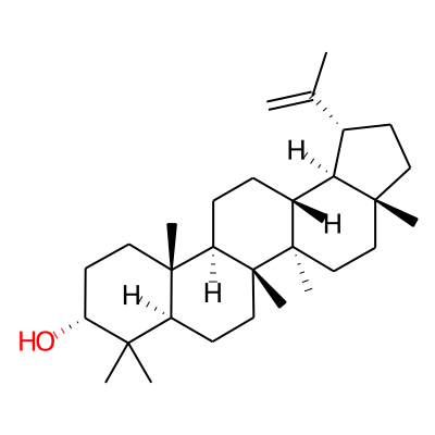 Epilupeol