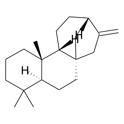 (+)-Phyllocladene