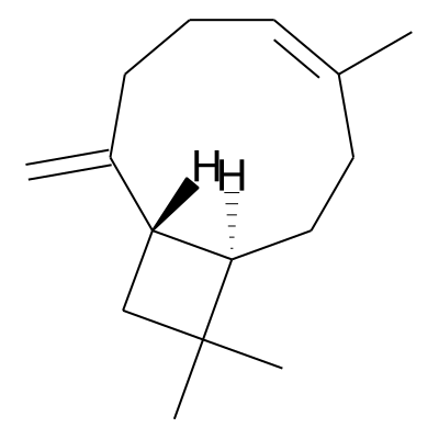Isocaryophyllene