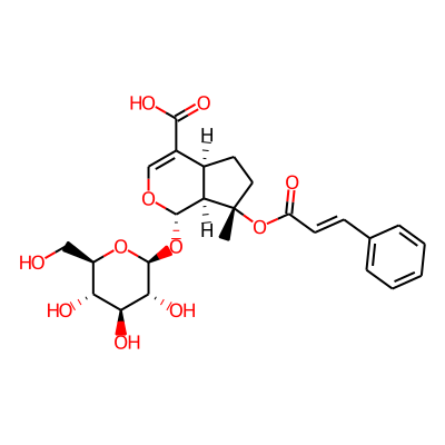 8-O-Cinnamoylmussaenosidic Acid
