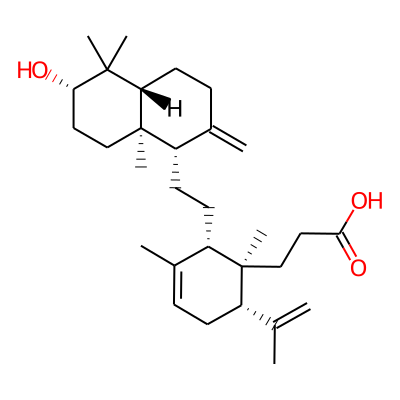 Lansiolic acid