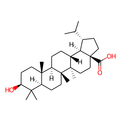 Dihydrobetulinic acid