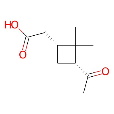 cis-Pinonic acid