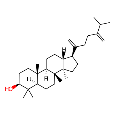 24-Methylenedammarenol