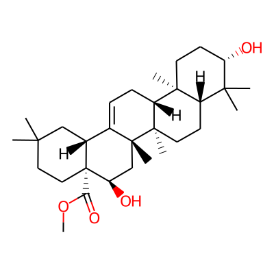 Methyl echinocystate
