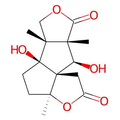 anislactone B