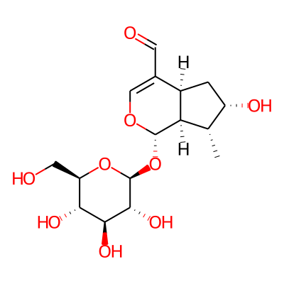 Cachineside I