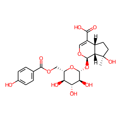 6'-(p-Hydroxybenzoyl)mussaenosidic acid