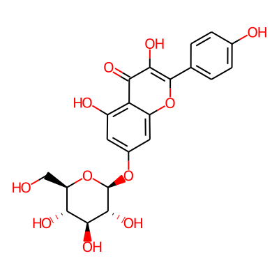 kaempferol 7-O-glucoside