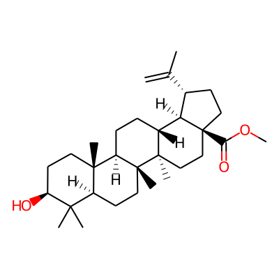 Methyl betulinate