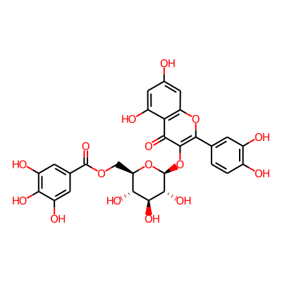 Quercetin 3-O-(6''-galloyl)-beta-D-glucopyranoside