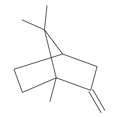 2-Methylenebornane