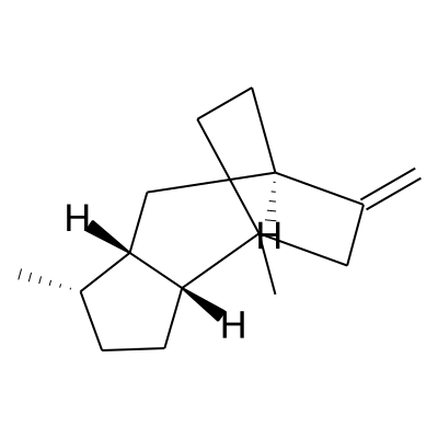 Isorotundene