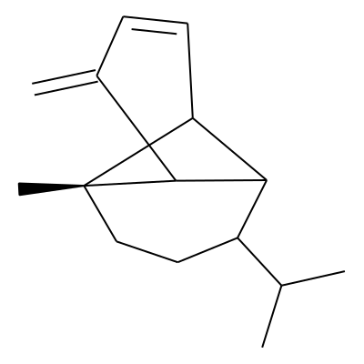 Ylanga-2,4-(15)-diene