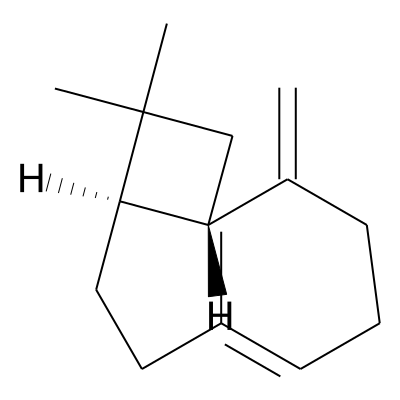 beta-Caryophyllene