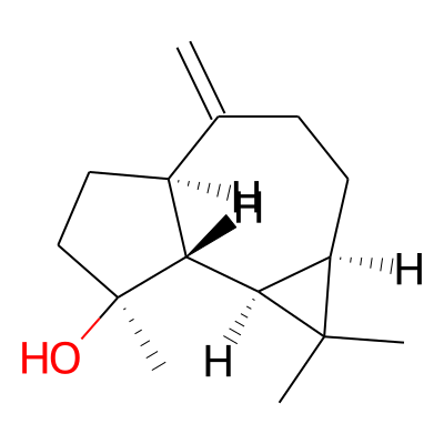 Spathulenol