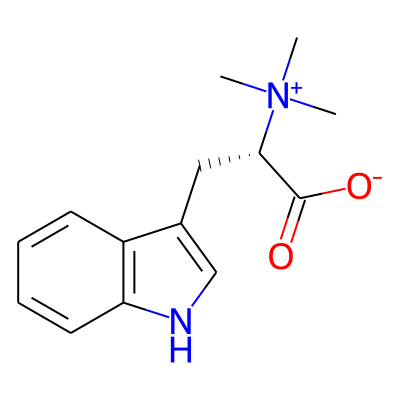 Hypaphorine