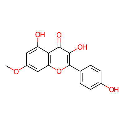 Rhamnocitrin