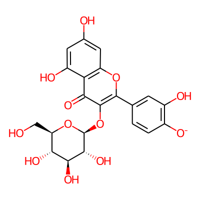 Quercetin-3-glucoside
