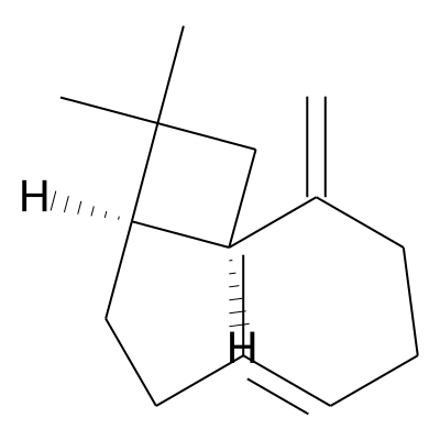 (E)-2-epi-beta-caryophyllene