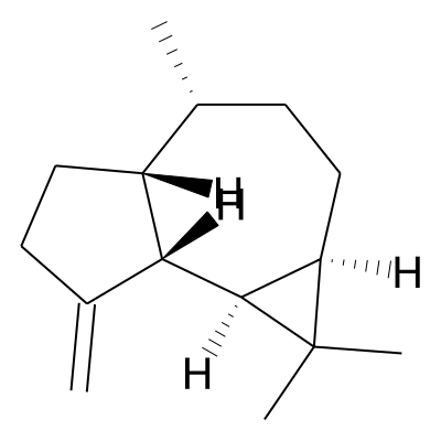 beta-Gurjunene