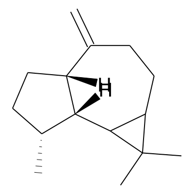 Allo-Aromadendrene