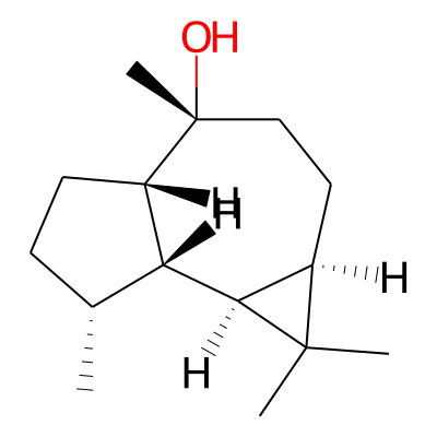 Ledol