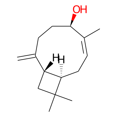 Caryophyllenol II