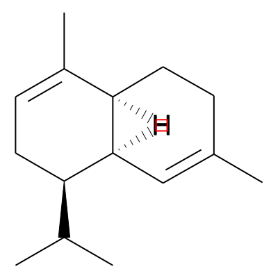 Zizanene