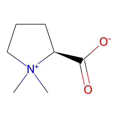 Stachydrine
