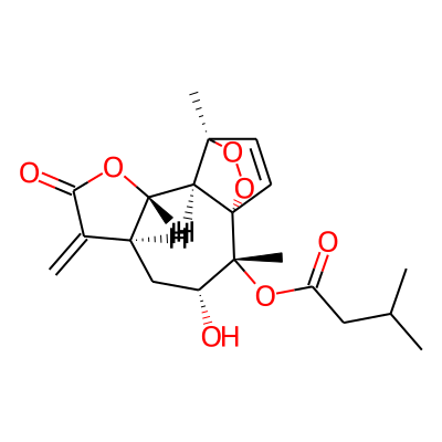 10-Isovaleroyldesacetylisoapressin