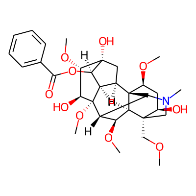 Hokbusine A