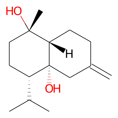 Calameon