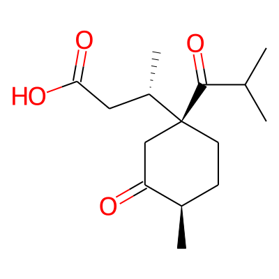Acoric acid
