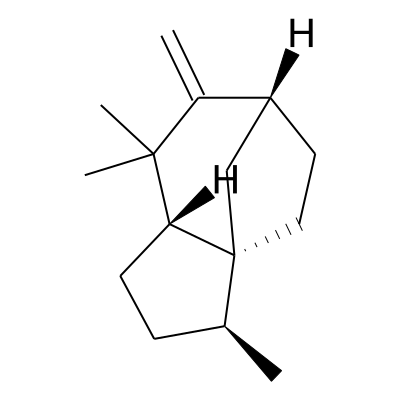 Prezizaene