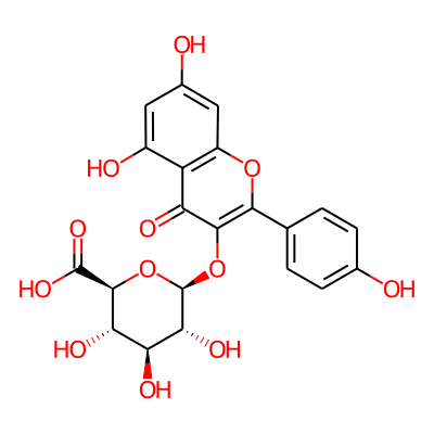 Kaempferol 3-glucuronide