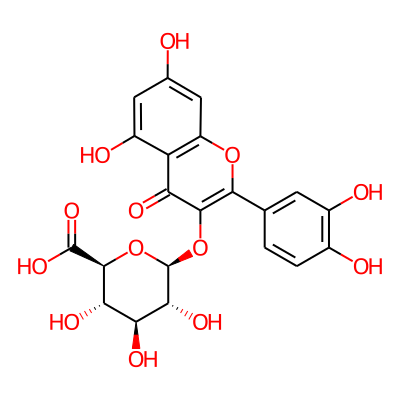 quercetin 3-O-glucuronide