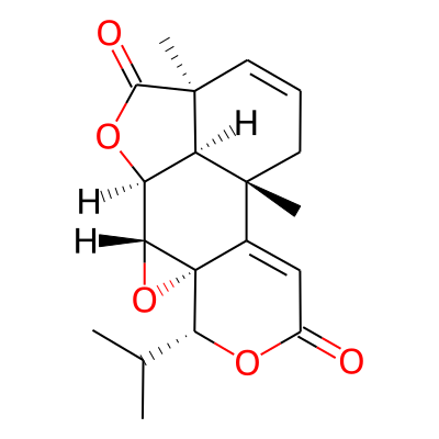 Podolide