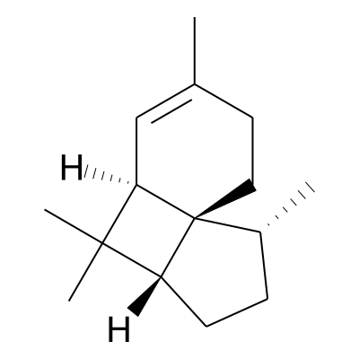 (+)-Isoitalicene