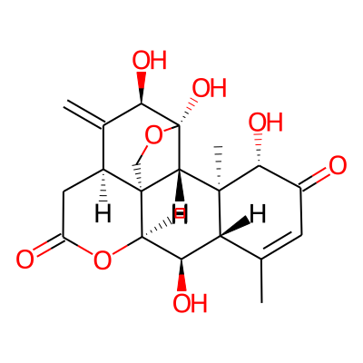 Shinjulactone E