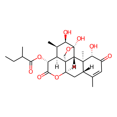 [(1S,4R,5R,6R,7S,8R,11R,13S,17S,18S,19R)-4,5,17-trihydroxy-6,14,18-trimethyl-9,16-dioxo-3,10-dioxapentacyclo[9.8.0.01,7.04,19.013,18]nonadec-14-en-8-yl] 2-methylbutanoate