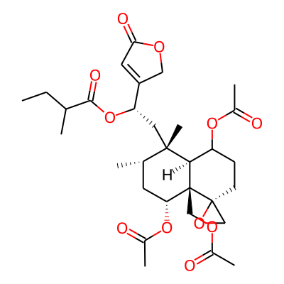 Ajugamacrin B