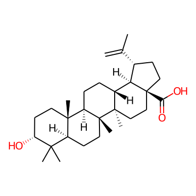 Epibetulinic acid