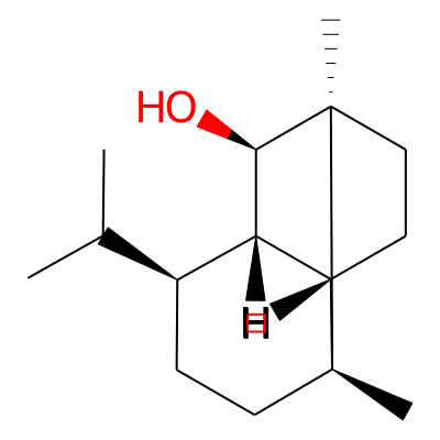 Copaborneol