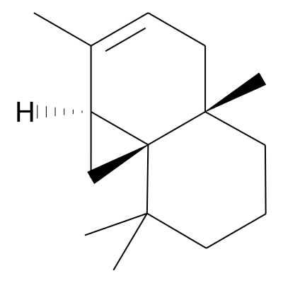 Thujopsene
