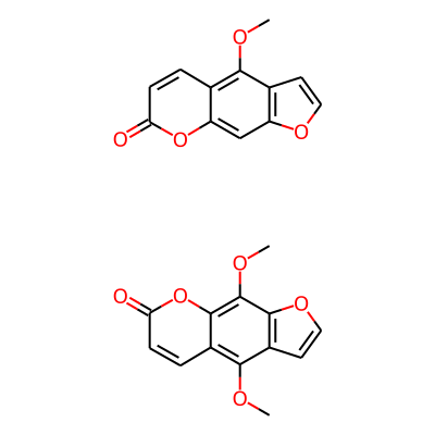 Ammifurin