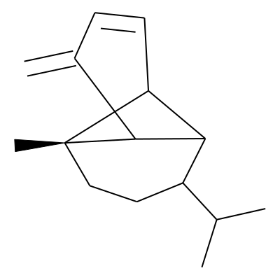 Ylanga-2,4-(15)-diene
