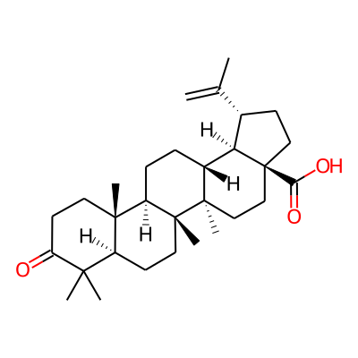 Betulonic acid