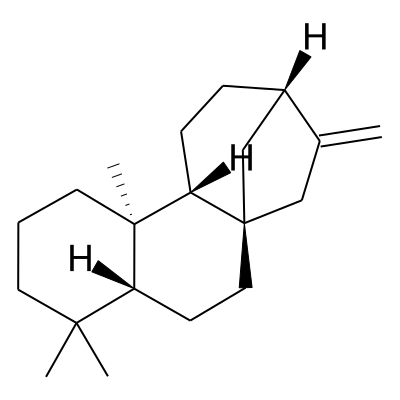 (-)-Phyllocladene